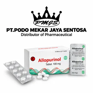 ALLOPURINOL 100 MG RAMA BOX 100 TAB (BLISTER)