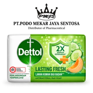 DETTOL SABUN BATANG ANTI BAKTERI LASTING FRESH 100 GR