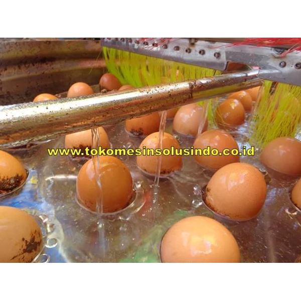 Mesin Pencuci Telur Kapasitas 50 Butir