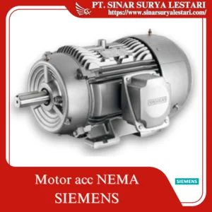 Motor ACC NEMA Simotics Premium