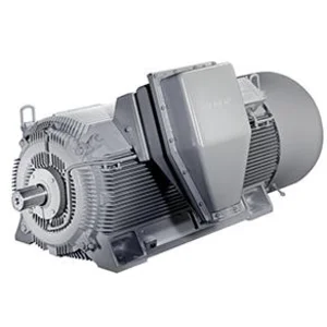 SIMOTICS HV (High-Voltage Motors) All Type Model