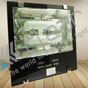 Lampu Sorot Luminaire  Induksi TZ-SD2 60 W Clear Energy