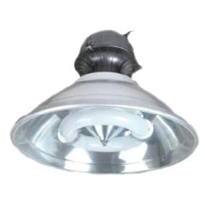 Lampu Industri - Highbay Induksi  TZ GK 1 250 