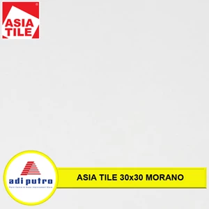 Ceramic Floor Asia Tile Size 30x30