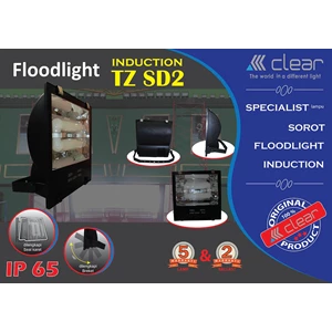 Luminaire CLEAR ENERGY Induction SD-2 120W floodlight
