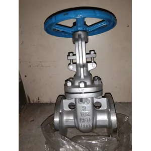 Gate Valve EVO 2'' Ansi 150 CF8