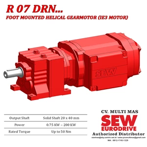 Helical Geared Motor R07/RF07/RZ07  DRN... (IE3 Motor)