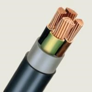 Power cord Extrana N2XY 2 x 1.5 mm ²