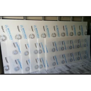 PVDF-SK Sheet Rochling - 3mm