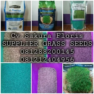 Bibit Tanaman Hias Dan Rumput Bentuk Biji Benih Untuk Lapangan Dan Taman