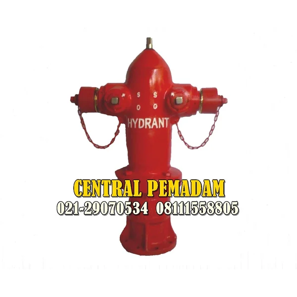 Hydrant Pillar Two Way