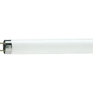 LAMPU PHILIPS TL - D 30W / 54 - 765 900mm