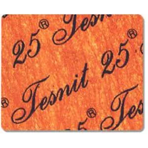 Gasket Tesnit 25  ()