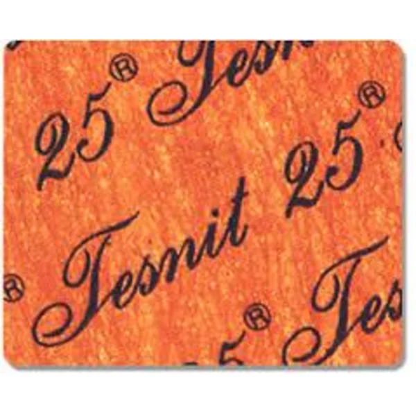 Gasket Tesnit 25  ()