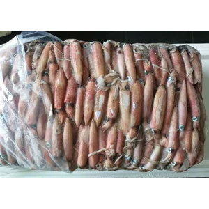Cumi Utuh Beku Kapal 13-15kg/Balok