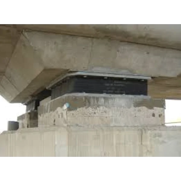 karet jembatan di bukittinggi sumatera barat