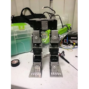 Bipedal Robot (1 unit bipedal robot)