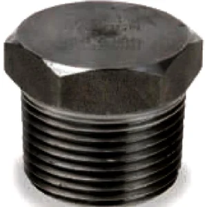 Plug Class 3000 CS A105N
