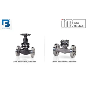 Bonney Forged Steel Integral Flanged End Valves/1500 LB Flanged End Check Valve/2500 LB Flanged End Globe Valve/2500 LB Flanged End Gate Valve