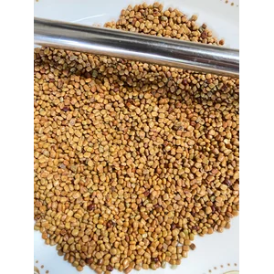 Bibit Tumbuhan Calopogonium mucunoides (CM) benih biji