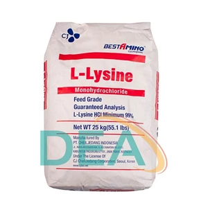 Lycine Hcl Ex.Korea 25Kg /Zak