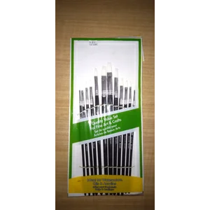 Kuas Lukis Merek Bianyo satu set