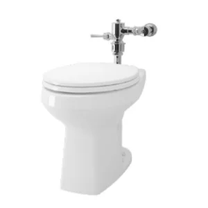 Single Bowl Toilet CW 705 L