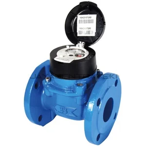 Water Meter Itron 2 inc tipe Woltex 
