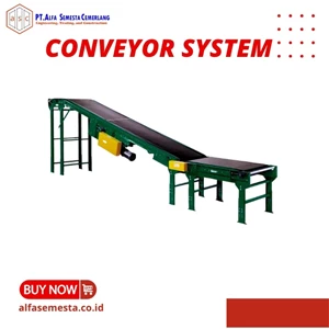Belt Conveyor Custom Industrial Field