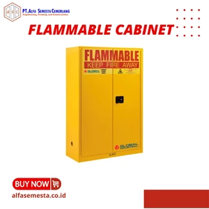 Flammable Safety Cabinet Material By Request