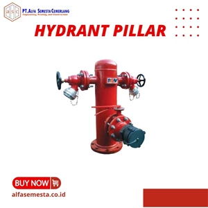 Hydrant Pillar 2 Way  And 3 Way