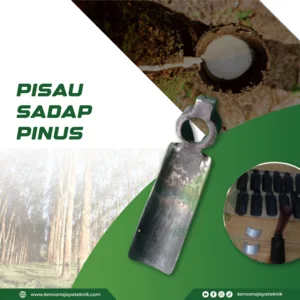 pisau sadap getah pinus - alat sadap getah