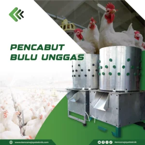 Mesin Pencabut Bulu Ayam - Mesin Pencabut Bulu Unggas 