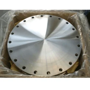 Blind Flange Bahan Stainless Steel
