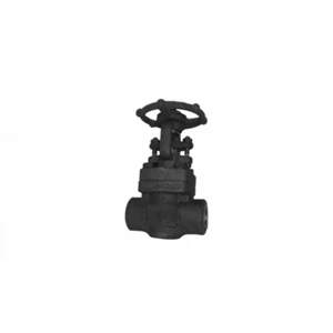 Globe Valve Clsss #800 Forged Steel A105