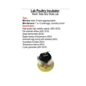Lab Poultry Incubator Type Mini Ece Holds 10 