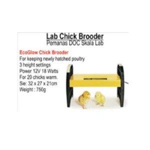 Lab Chick Brooder