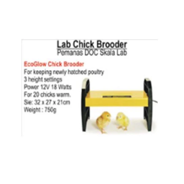 Lab Chick Brooder