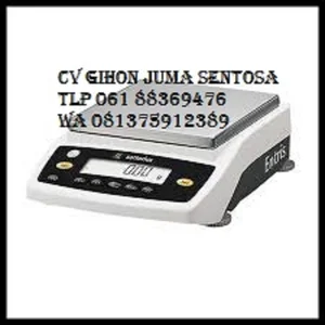  ENTRIS 3202I-1SSARTORIUS PRECISION BALANCES ENTRIS