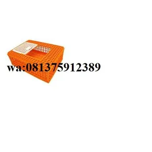 Keranjang Ayam Ukuran 940 x 570 x 280 mm Warna Oranye
