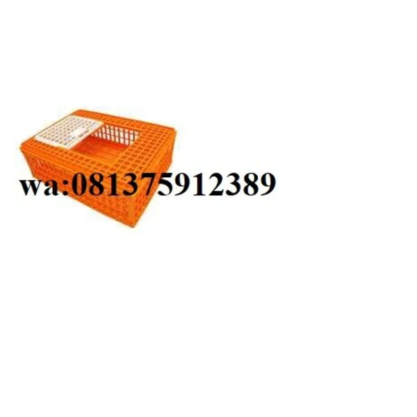 Keranjang Ayam Ukuran 940 x 570 x 280 mm Warna Oranye
