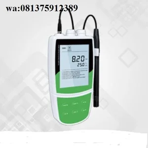 Amtast Portable Dissolved Oxygen Meter model DO901