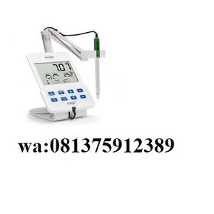 Meteran pH/ORP untuk Riset & Pengembangan: Hanna edge® HI2002-01