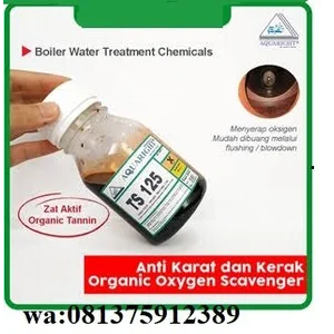 Pencegah Korosi dan Karat Boiler Oxygen Scavenger AQUARIGHT TS 125