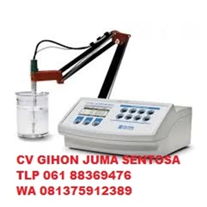 HANNA HI3221 pH/ ORP/ ISE Single Channel Benchtop Meter