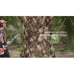 PALM CUTTER HUSQVARNA 226PD3