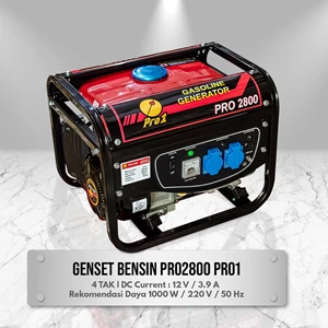 Gasoline Generator Set Pro1 2800