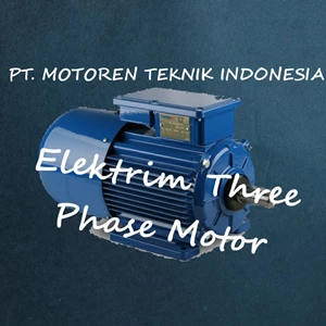 Elektrim Three Phase Induction Motor