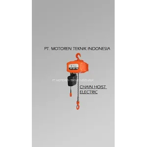 Hoist Crane Electric