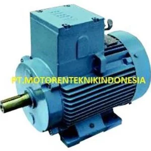 AC  MOTOR EXPLOSION PROOF